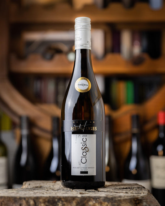 Muscadet Cotes de Grand lieu sur lie - Santé Wines