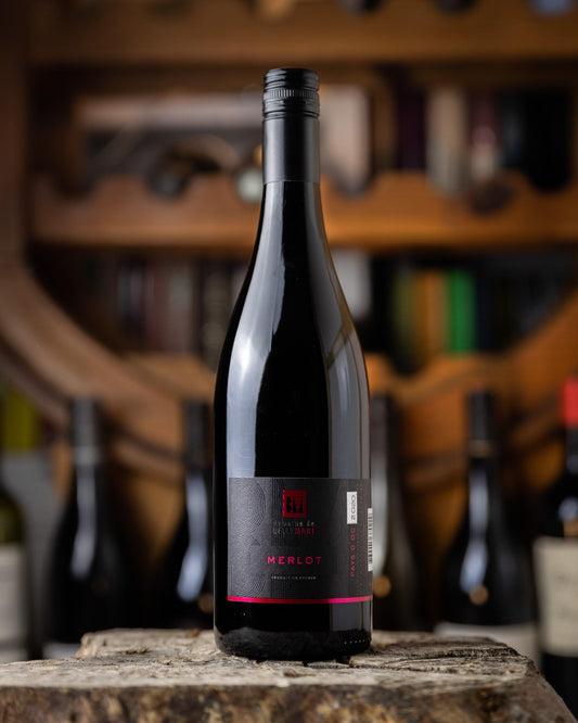 Domaine Bellemare - Merlot - Santé Wines