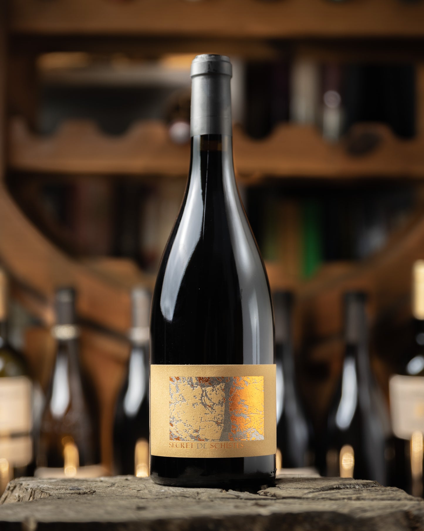 Château de l’ou Secret de Schistes