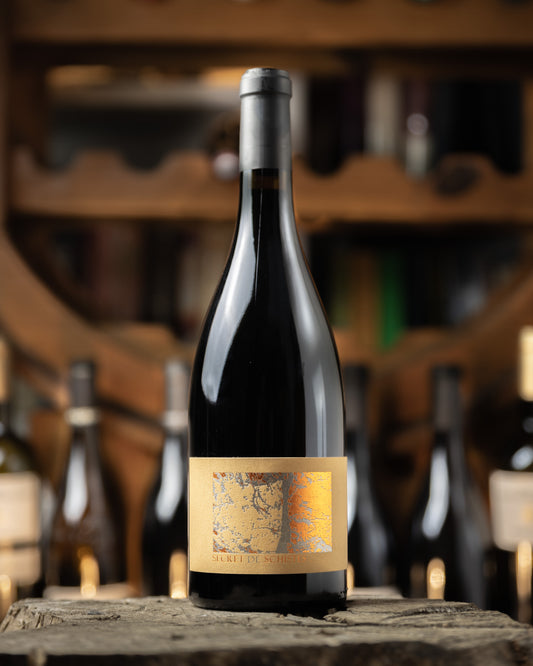 Château de l’ou Secret de Schistes